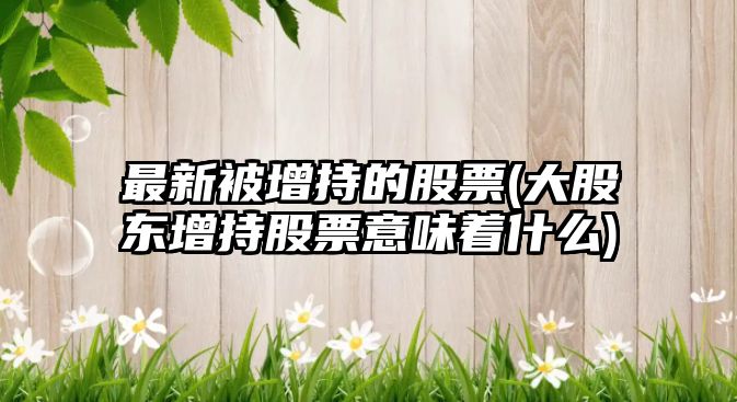 最新被增持的股票(大股東增持股票意味著(zhù)什么)