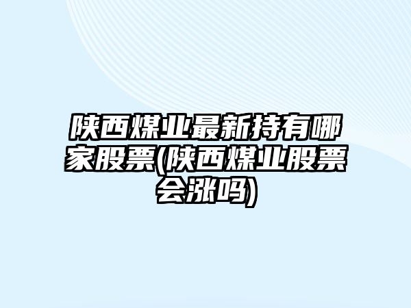 陜西煤業(yè)最新持有哪家股票(陜西煤業(yè)股票會(huì )漲嗎)