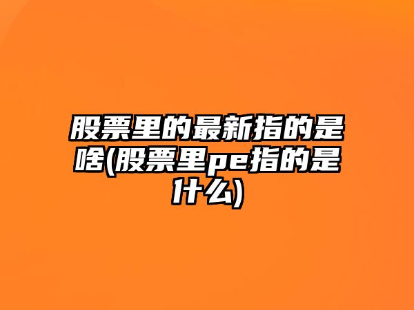 股票里的最新指的是啥(股票里pe指的是什么)