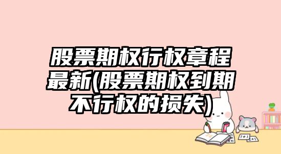 股票期權行權章程最新(股票期權到期不行權的損失)