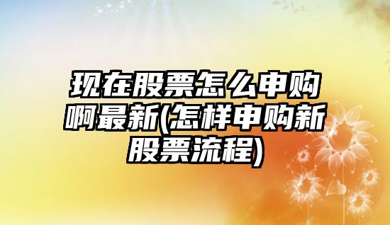 現在股票怎么申購啊最新(怎樣申購新股票流程)