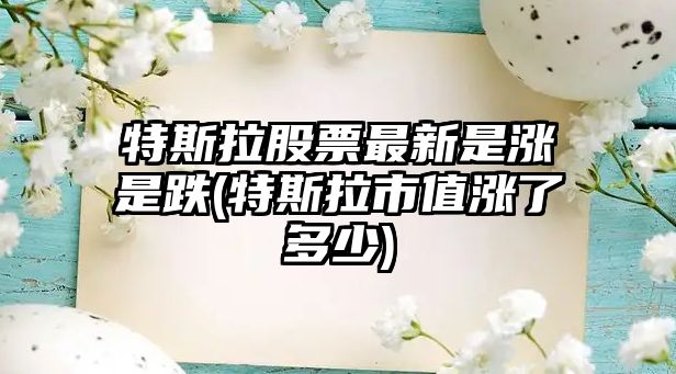 特斯拉股票最新是漲是跌(特斯拉市值漲了多少)