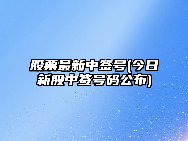 股票最新中簽號(今日新股中簽號碼公布)