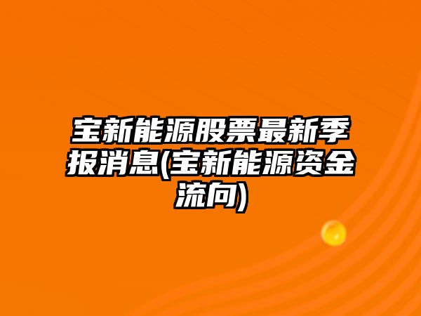 寶新能源股票最新季報消息(寶新能源資金流向)