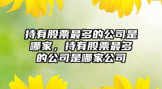 持有股票最多的公司是哪家，持有股票最多的公司是哪家公司