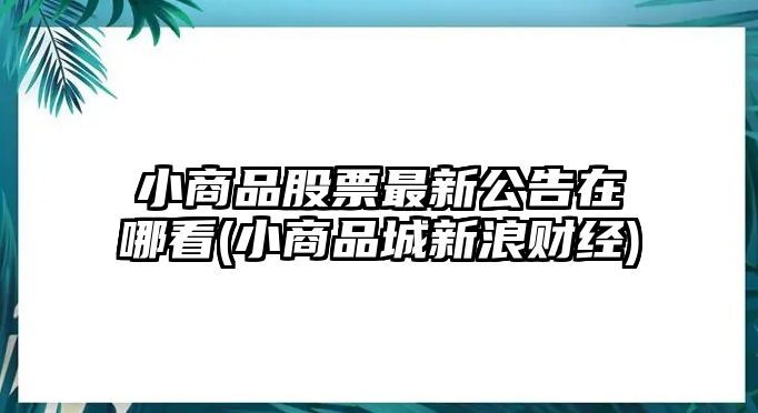 小商品股票最新公告在哪看(小商品城新浪財經(jīng))