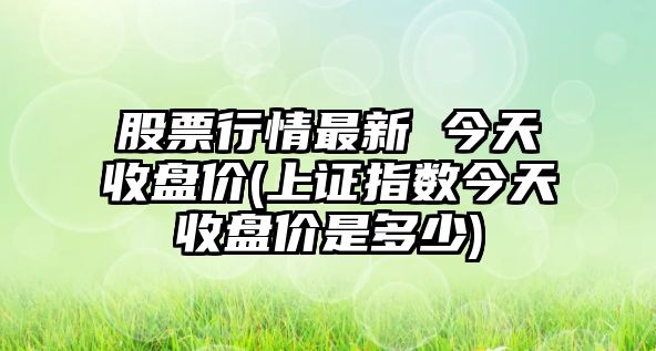 股票行情最新 今天收盤(pán)價(jià)(上證指數今天收盤(pán)價(jià)是多少)