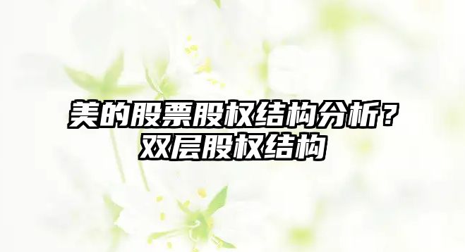 美的股票股權結構分析？雙層股權結構