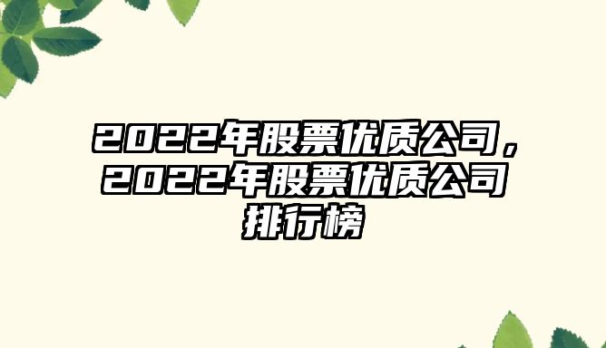 2022年股票優(yōu)質(zhì)公司，2022年股票優(yōu)質(zhì)公司排行榜