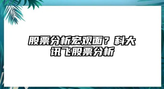 股票分析宏觀(guān)面？科大訊飛股票分析