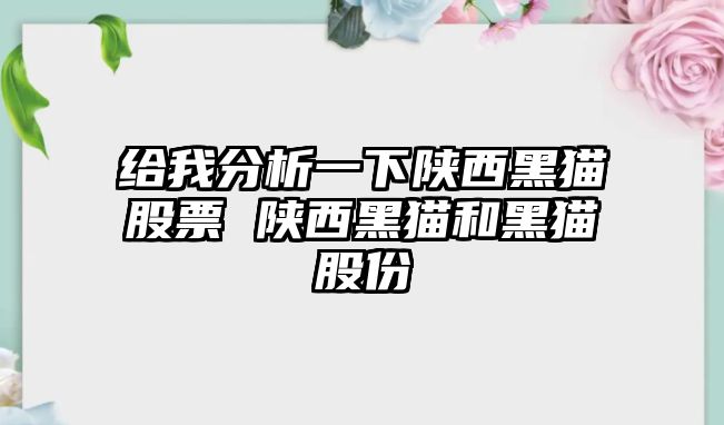 給我分析一下陜西黑貓股票 陜西黑貓和黑貓股份