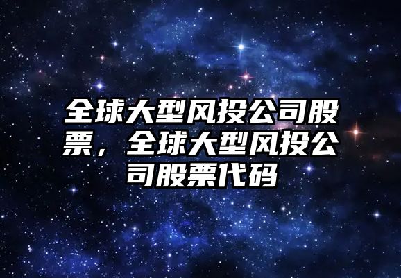 全球大型風(fēng)投公司股票，全球大型風(fēng)投公司股票代碼