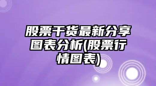 股票干貨最新分享圖表分析(股票行情圖表)