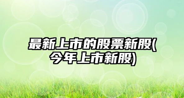 最新上市的股票新股(今年上市新股)