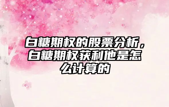 白糖期權的股票分析，白糖期權獲利他是怎么計算的