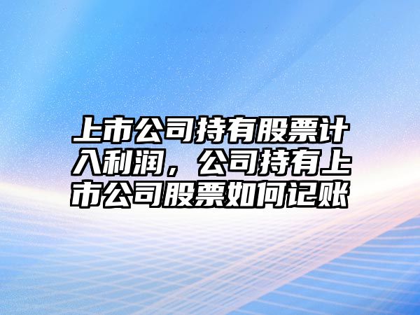 上市公司持有股票計入利潤，公司持有上市公司股票如何記賬