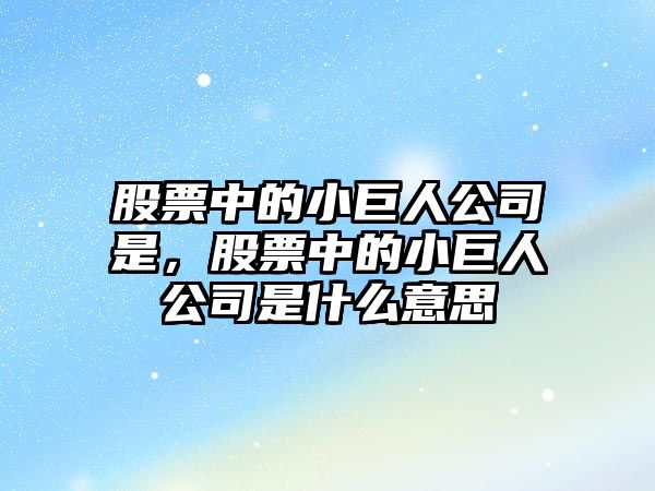 股票中的小巨人公司是，股票中的小巨人公司是什么意思