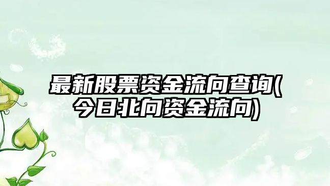 最新股票資金流向查詢(xún)(今日北向資金流向)