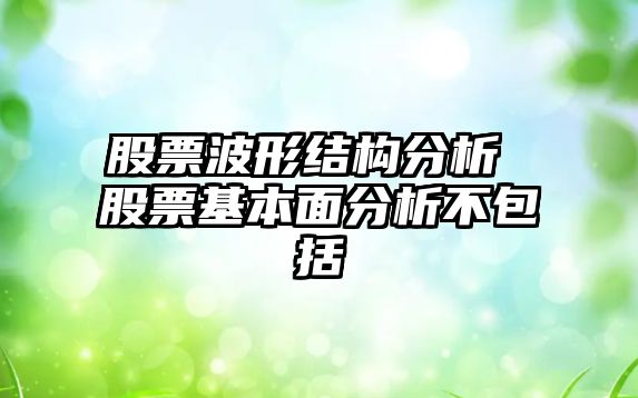 股票波形結構分析 股票基本面分析不包括