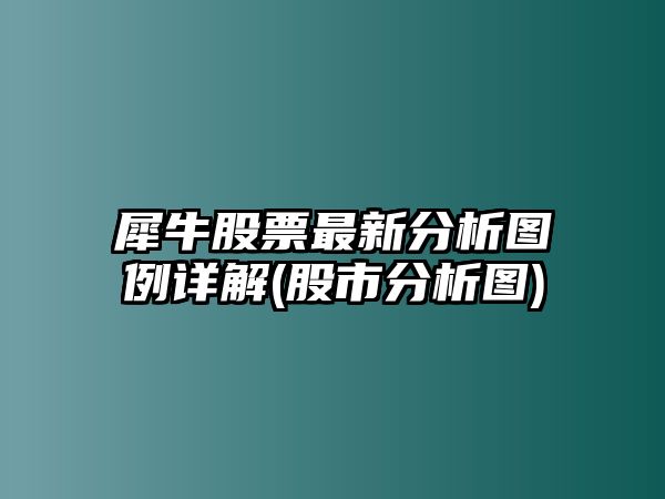 犀牛股票最新分析圖例詳解(股市分析圖)