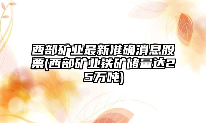 西部礦業(yè)最新準確消息股票(西部礦業(yè)鐵礦儲量達25萬(wàn)噸)