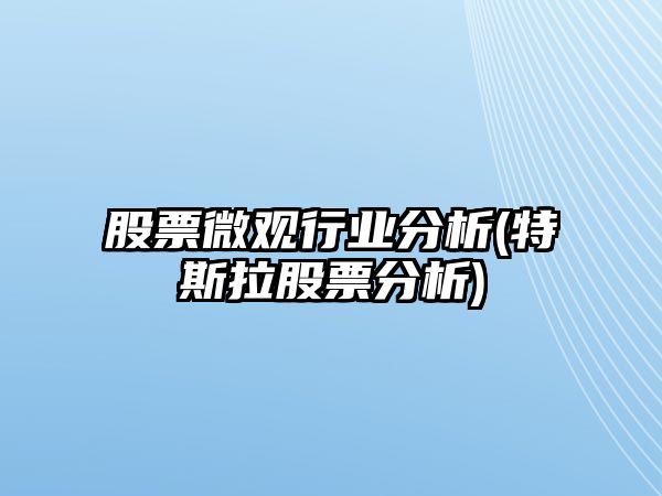 股票微觀(guān)行業(yè)分析(特斯拉股票分析)