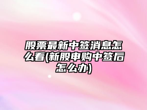 股票最新中簽消息怎么看(新股申購中簽后怎么辦)