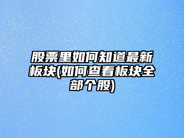 股票里如何知道最新板塊(如何查看板塊全部個(gè)股)