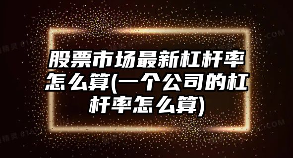 股票市場(chǎng)最新杠桿率怎么算(一個(gè)公司的杠桿率怎么算)