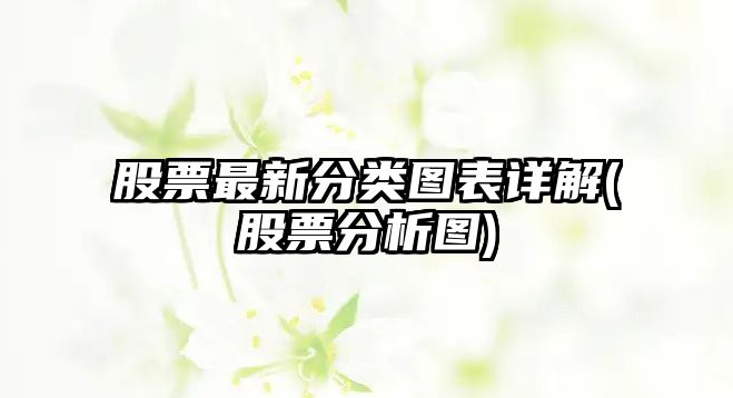 股票最新分類(lèi)圖表詳解(股票分析圖)