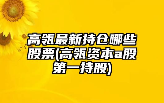 高瓴最新持倉哪些股票(高瓴資本a股第一持股)