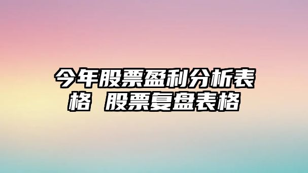 今年股票盈利分析表格 股票復盤(pán)表格