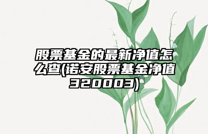 股票基金的最新凈值怎么查(諾安股票基金凈值320003)