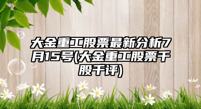 大金重工股票最新分析7月15號(大金重工股票千股千評)