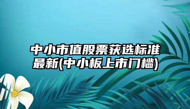 中小市值股票獲選標準最新(中小板上市門(mén)檻)