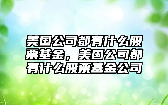 美國公司都有什么股票基金，美國公司都有什么股票基金公司