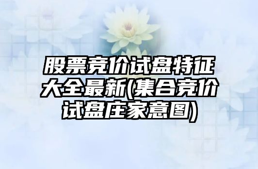 股票競價(jià)試盤(pán)特征大全最新(集合競價(jià)試盤(pán)莊家意圖)