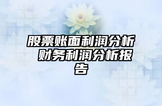 股票賬面利潤分析 財務(wù)利潤分析報告