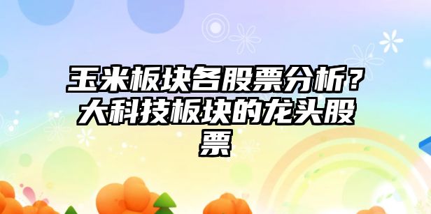 玉米板塊各股票分析？大科技板塊的龍頭股票