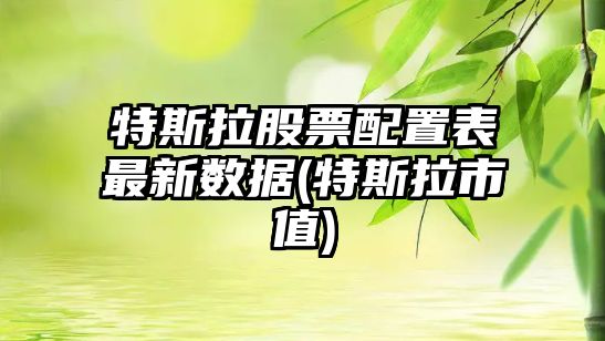 特斯拉股票配置表最新數據(特斯拉市值)