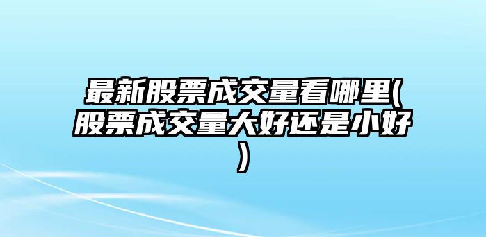 最新股票成交量看哪里(股票成交量大好還是小好)