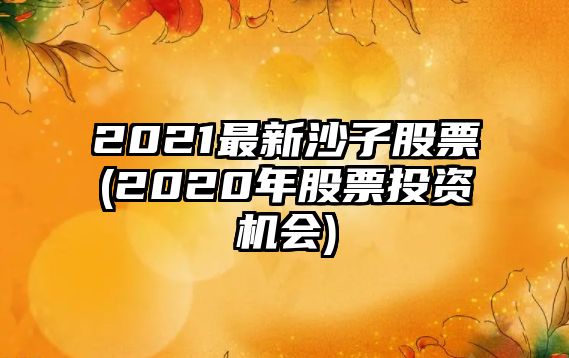 2021最新沙子股票(2020年股票投資機會(huì ))