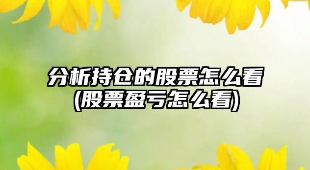 分析持倉的股票怎么看(股票盈虧怎么看)