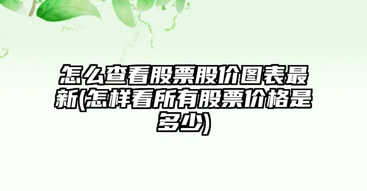 怎么查看股票股價(jià)圖表最新(怎樣看所有股票價(jià)格是多少)