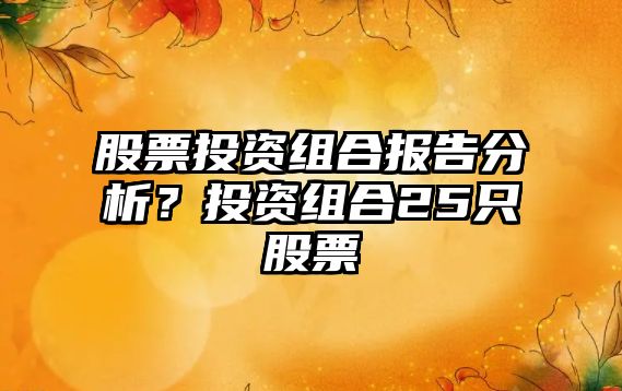 股票投資組合報告分析？投資組合25只股票