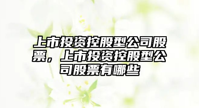 上市投資控股型公司股票，上市投資控股型公司股票有哪些