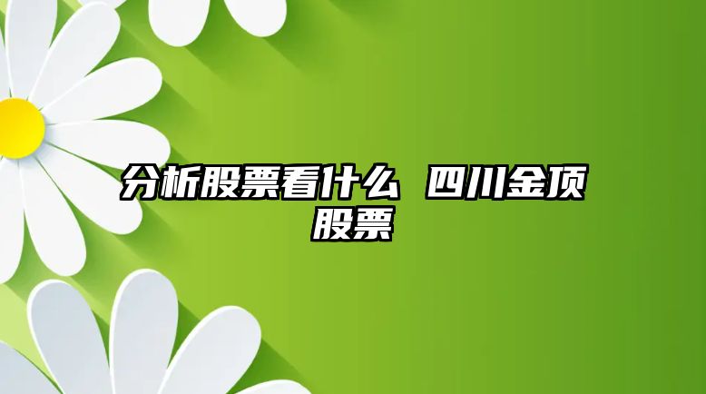 分析股票看什么 四川金頂股票