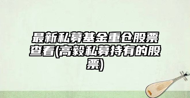 最新私募基金重倉股票查看(高毅私募持有的股票)