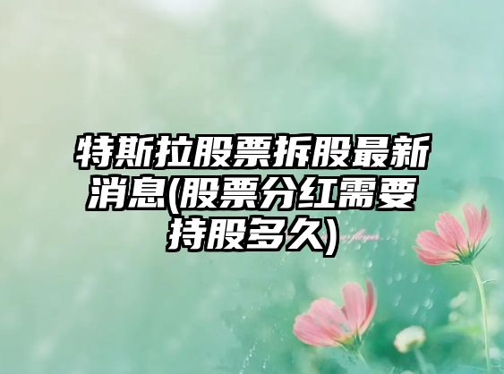 特斯拉股票拆股最新消息(股票分紅需要持股多久)