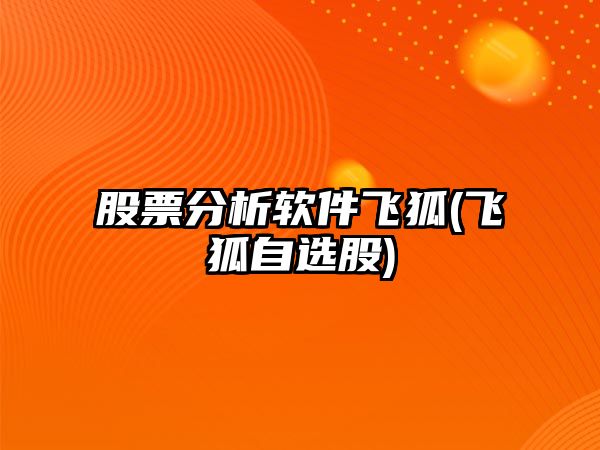 股票分析軟件飛狐(飛狐自選股)